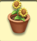 Potted Plant - Hayday products and tools